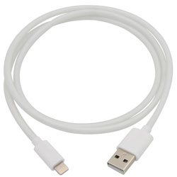 4ft Lightning to USB Cable