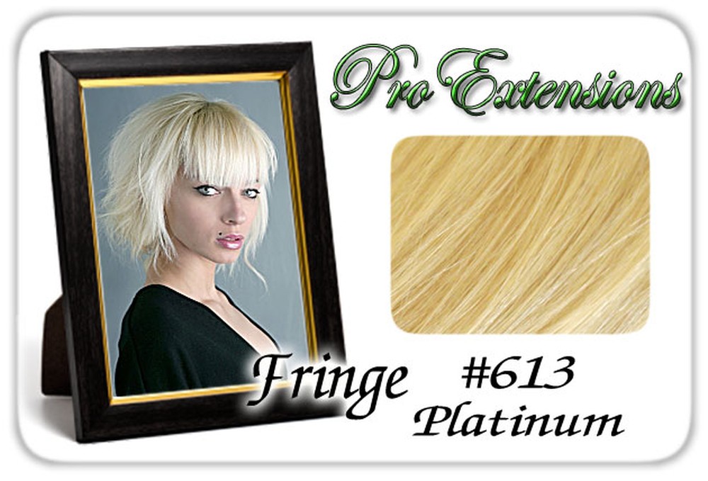 #613 Platinum Pro Fringe Clip In Bangs