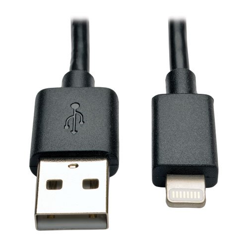 10" Lightning USB Cable Black