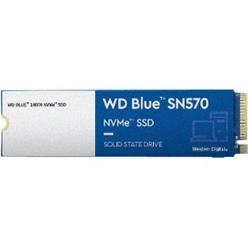 Blue SN570 WDS100T3B0C 1TB