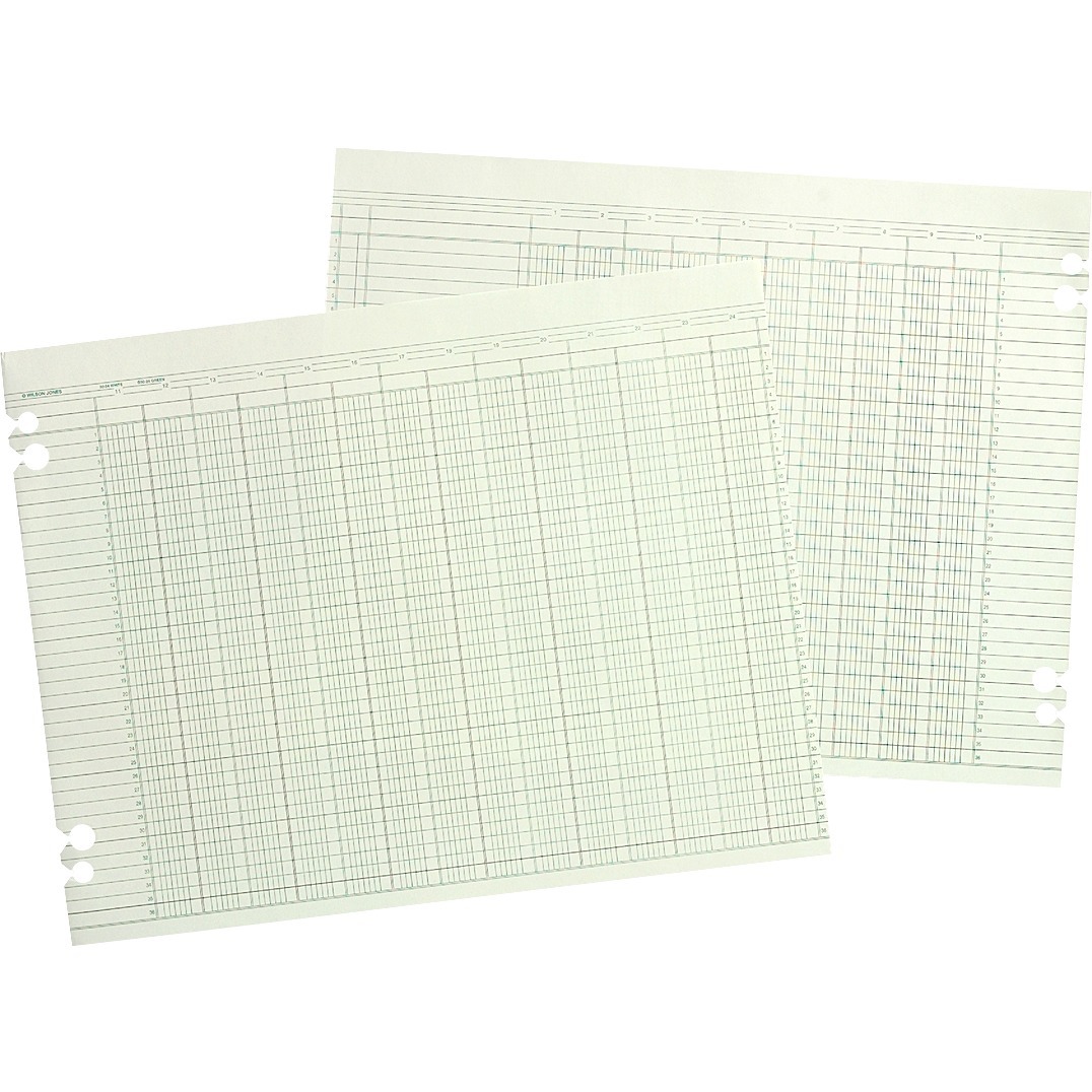 Accounting Sheets, 24 Column, 9-1/4 x 11-7/8, 100 Loose Sheets/Pack, Green