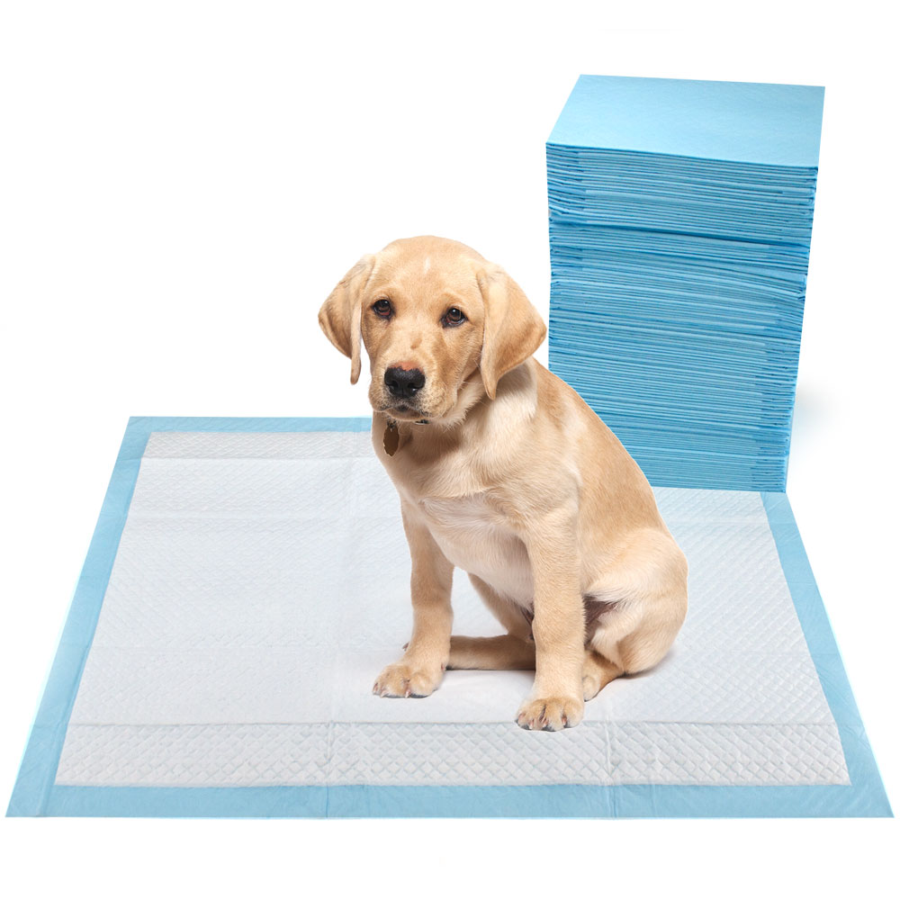 XL Super Absorbent Potty Pads, 50-count